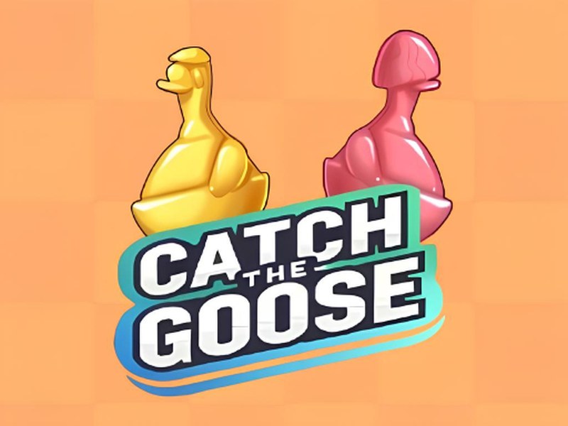 Colorful screenshot of Catch The Goose puzzle game with playful graphics